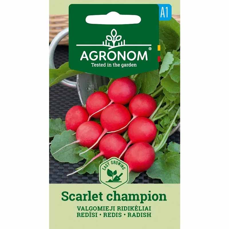 Radish 'Scarlet champion'