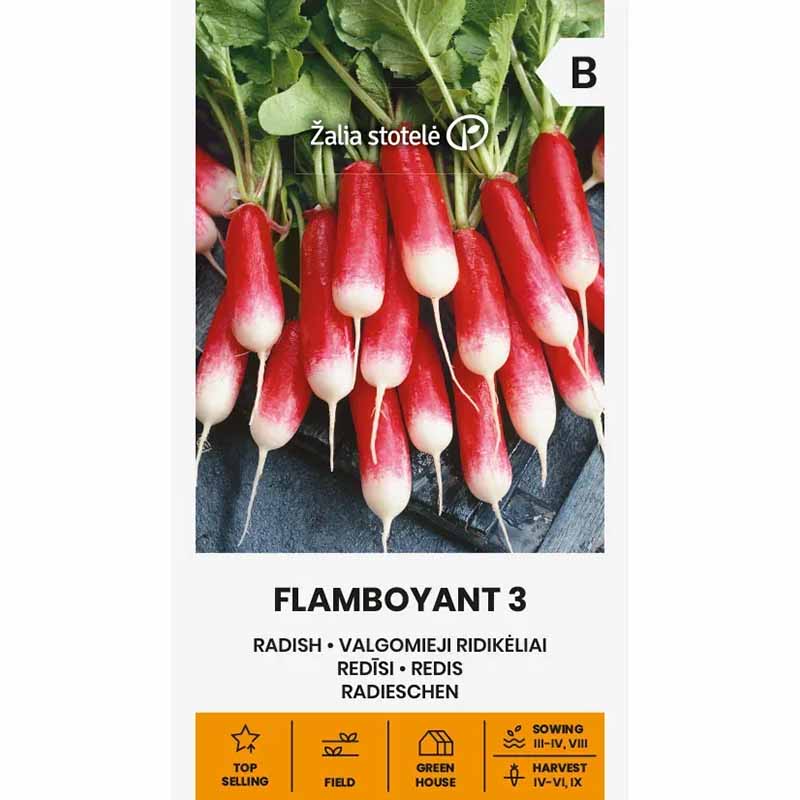 Radish 'Flamboyant 3'