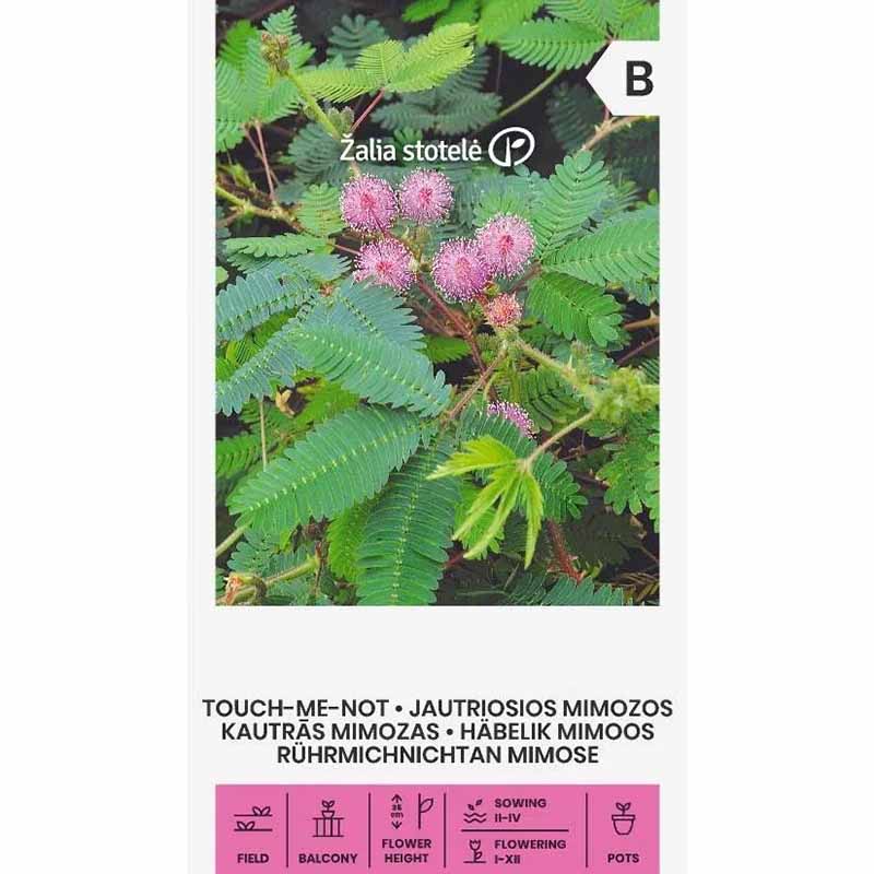 Sensitive Plant