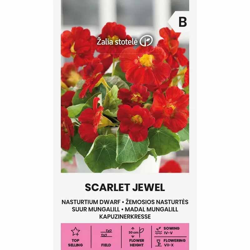 Dwarf Nasturtium 'Scarlet Jewel'