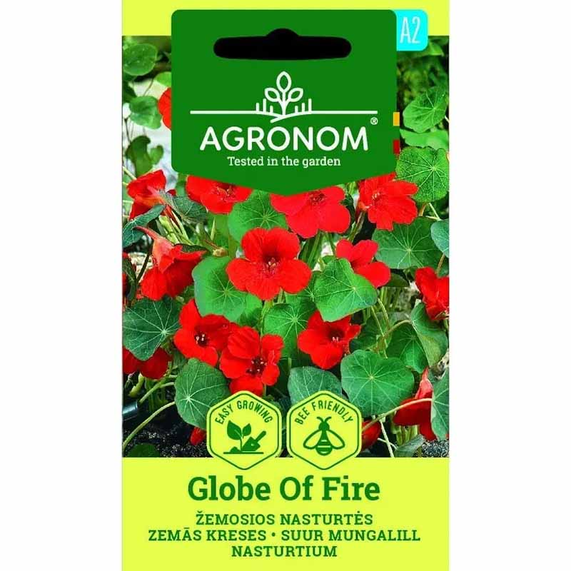 Dwarf Nasturtium 'Globe of Fire'