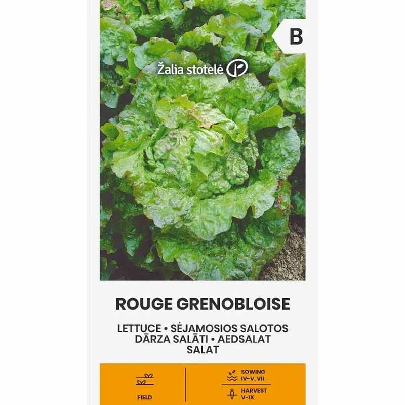 Lettuce 'Rouge Grenobloise'
