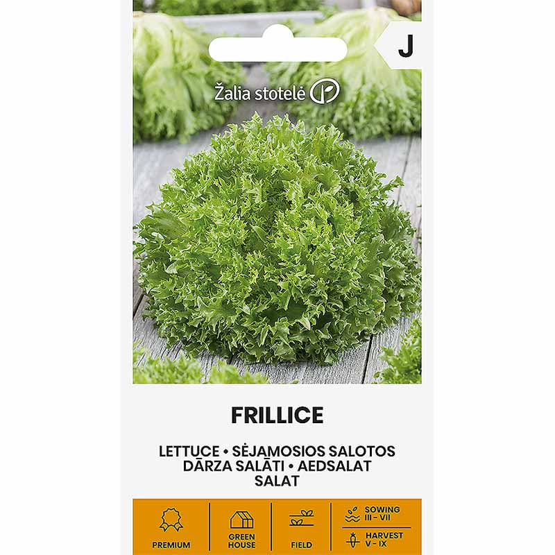 Sallat 'Frillice'