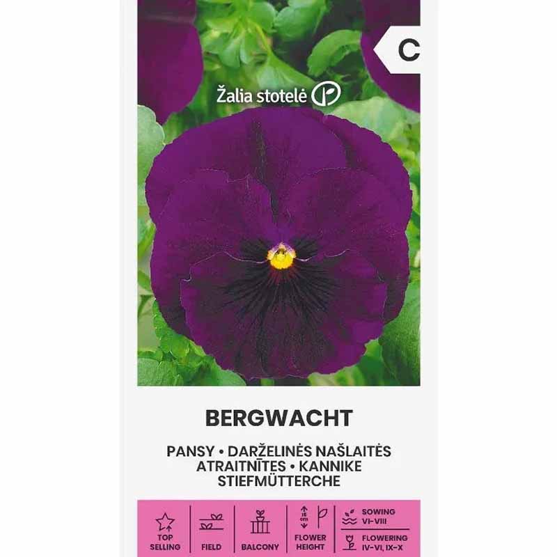 Pansy 'Bergwacht'
