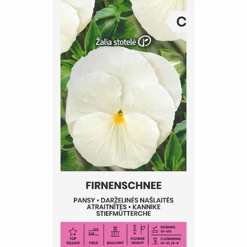 Pansy 'Firnenschnee'