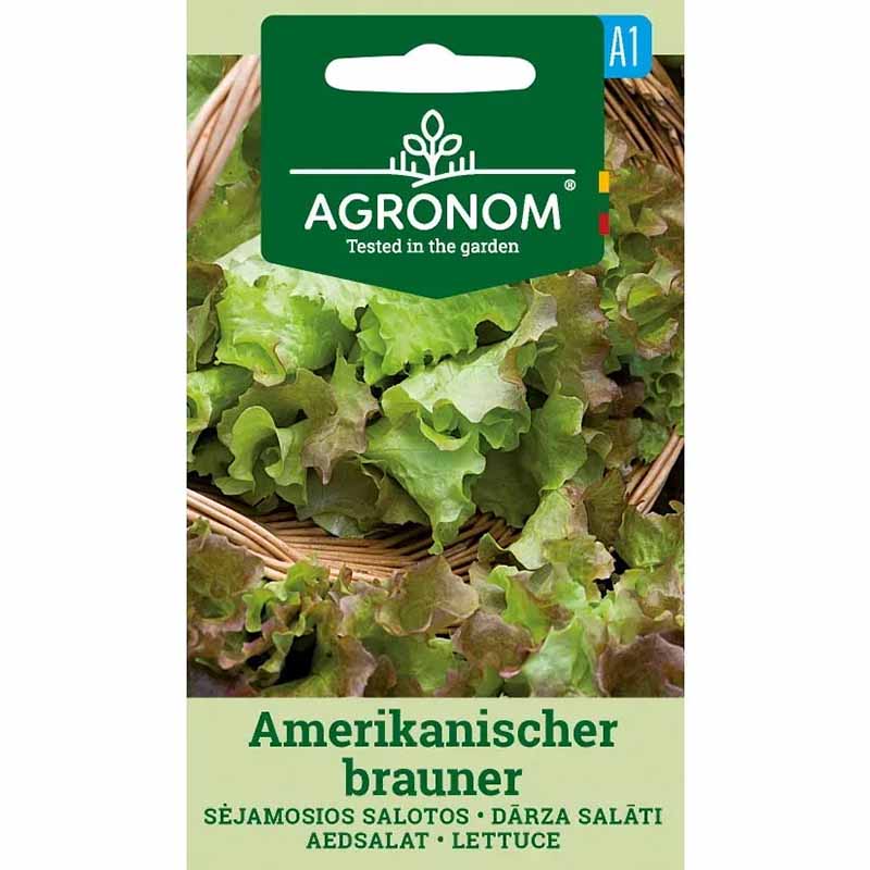 Looseleaf Lettuce 'Amerikanischer Brauner'