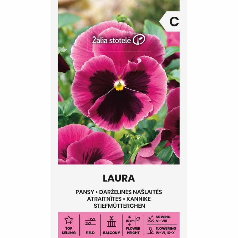 Pansy 'Laura'
