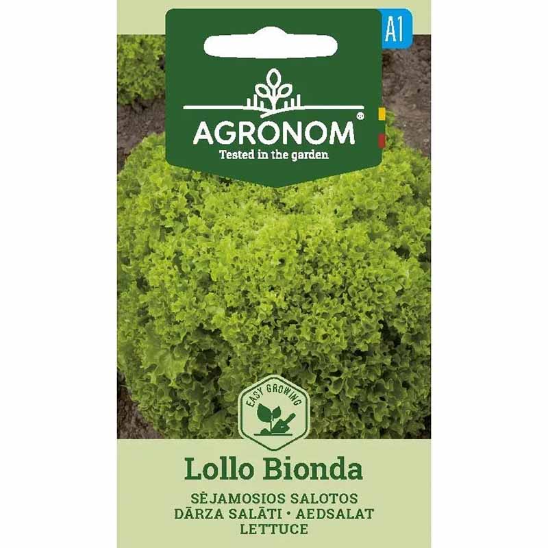 Batavia Lettuce 'Lollo Bionda'