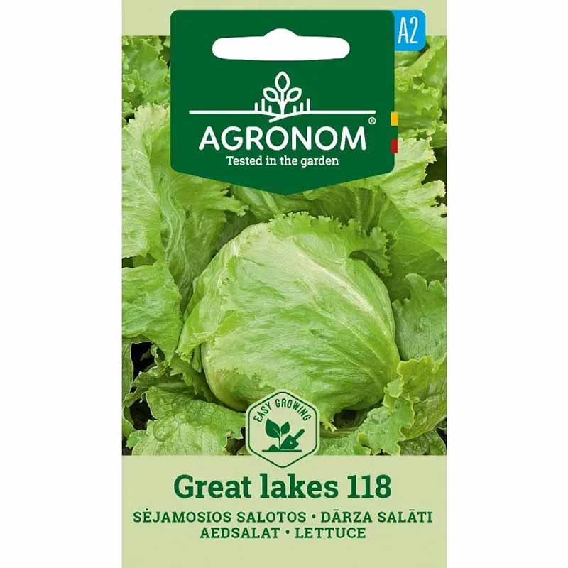 Iceberg Lettuce 'Great Lakes 118'
