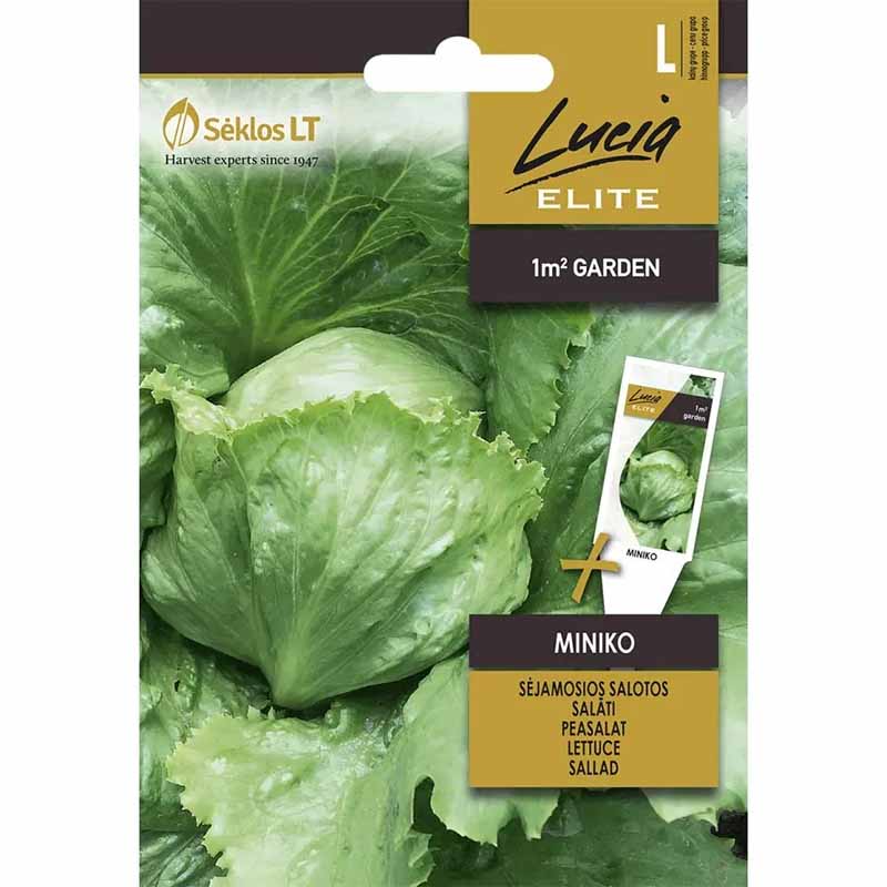 Lettuce 'Miniko'