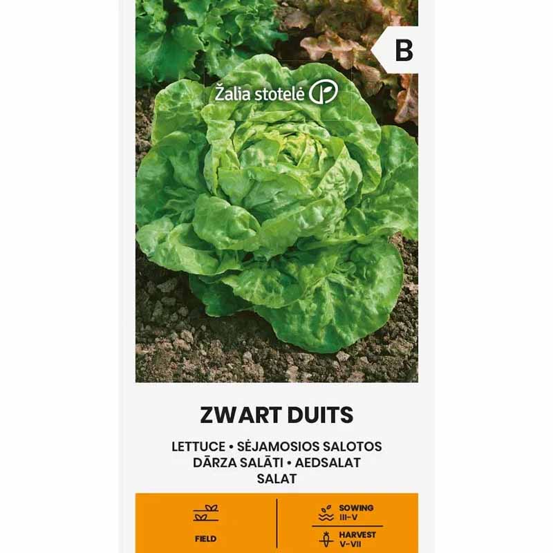 Lettuce 'Zwart Duits'