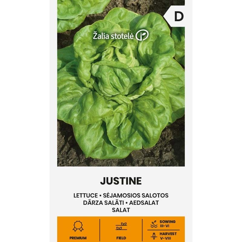 Head Lettuce 'Justine'