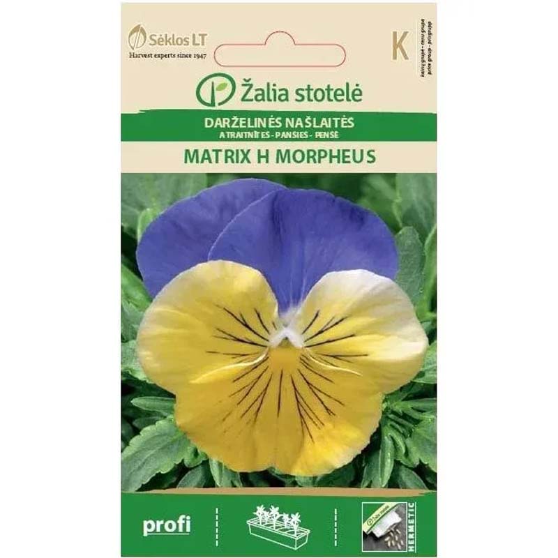 Pansy 'Matrix H Morpheus'