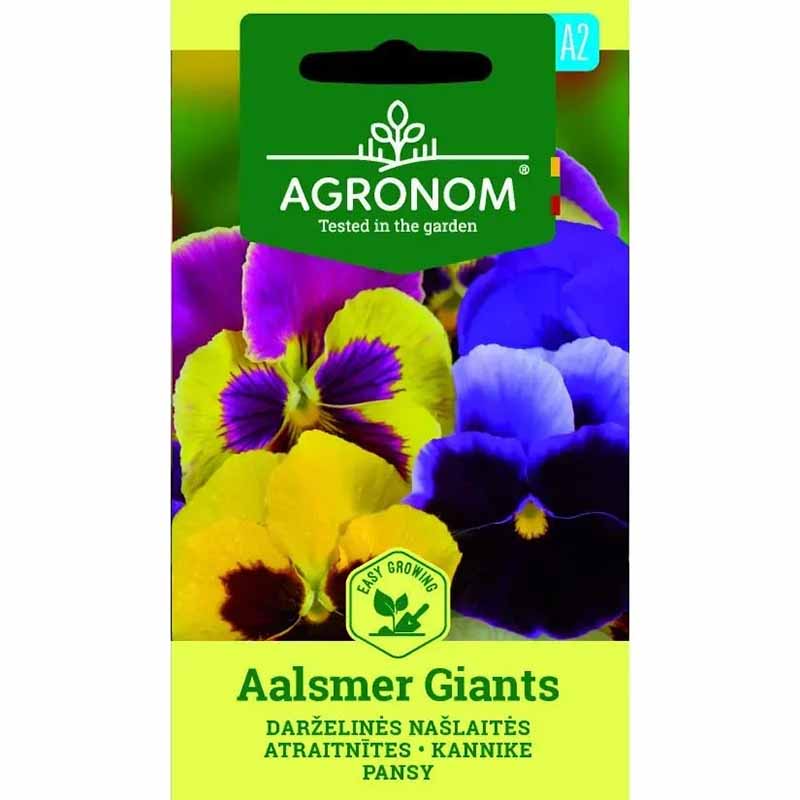 Pansy 'Aalsmeer Giants'