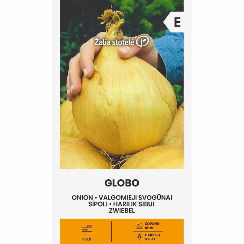 Onion 'Globo'