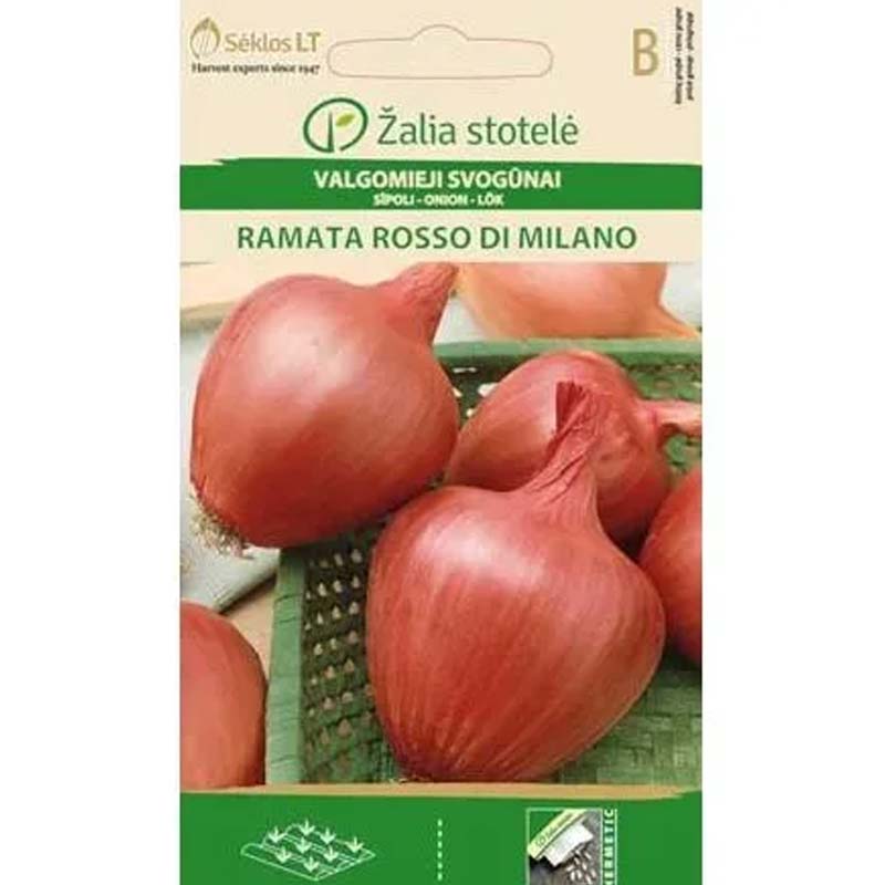 Onion 'Ramata di milano'