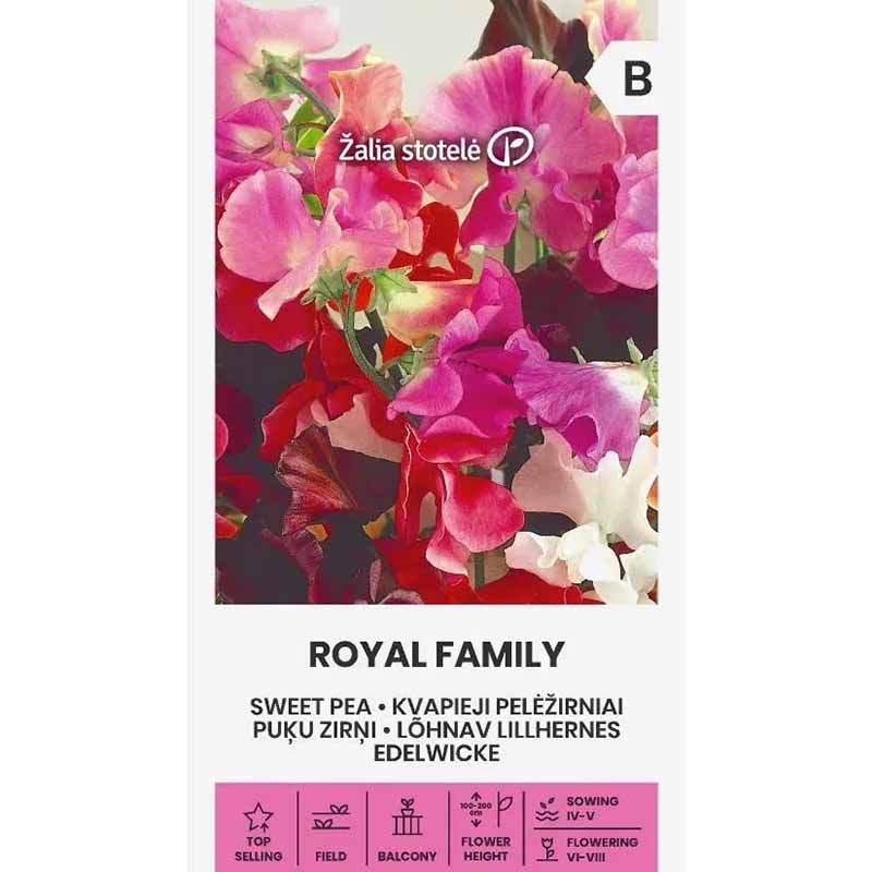 Sweet Pea 'Royal Family'