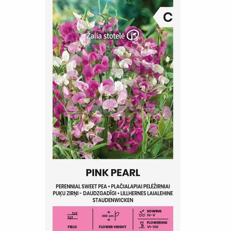 Sweet Pea 'Pink Pearl'