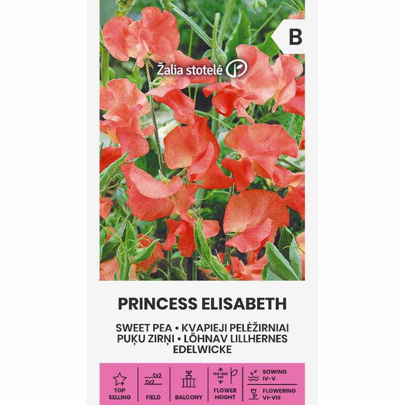 Sweet Pea 'Princess Elisabeth'