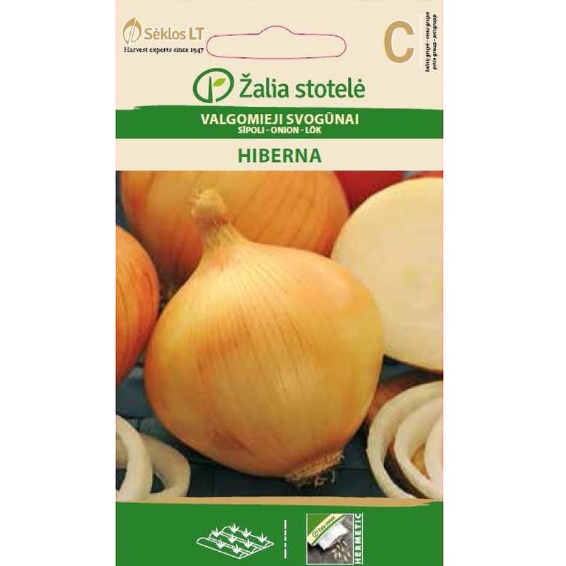 Onion 'Hiberna'