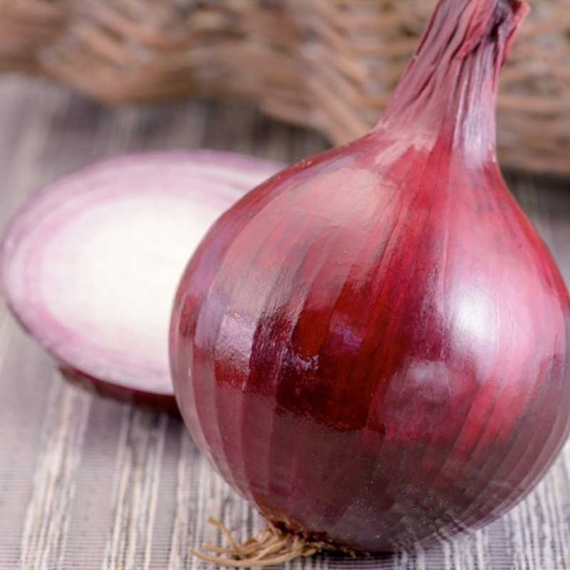 Red Onion 'Karmen'