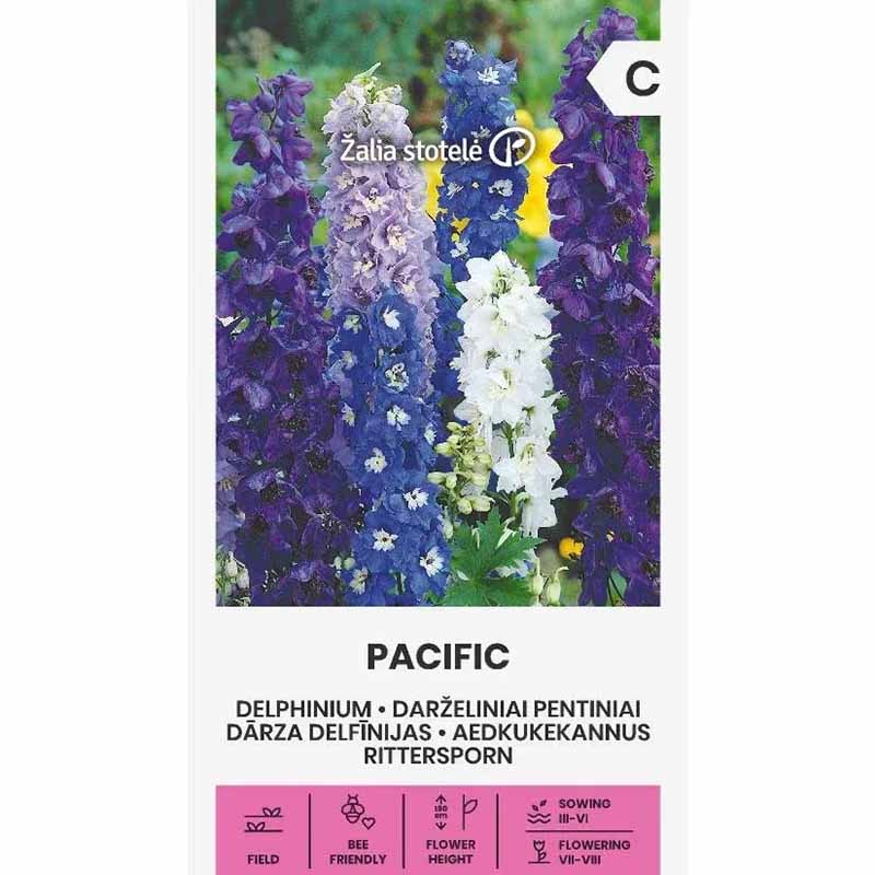 Delphinium 'Pacific'