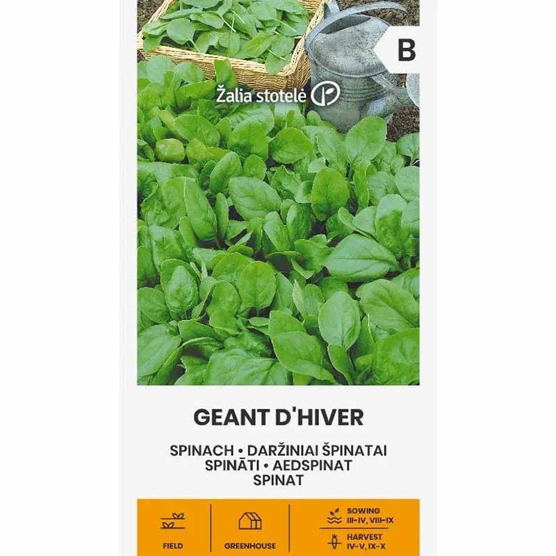 Spinach 'D'hiver'