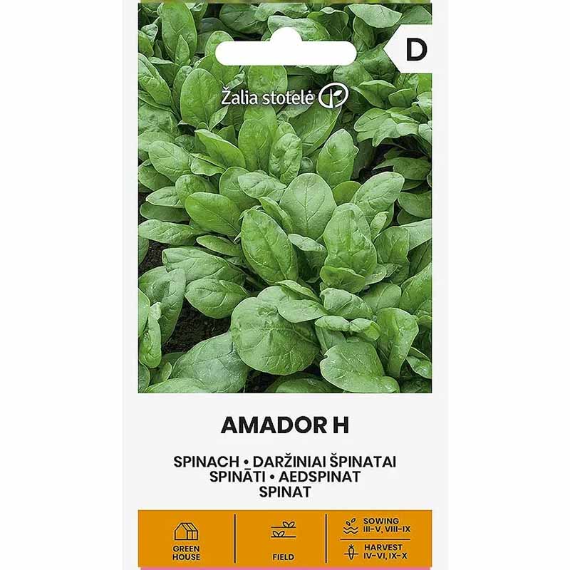 Spinach 'Amador' F1