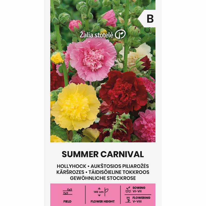 Hollyhock 'Summer Carnival'