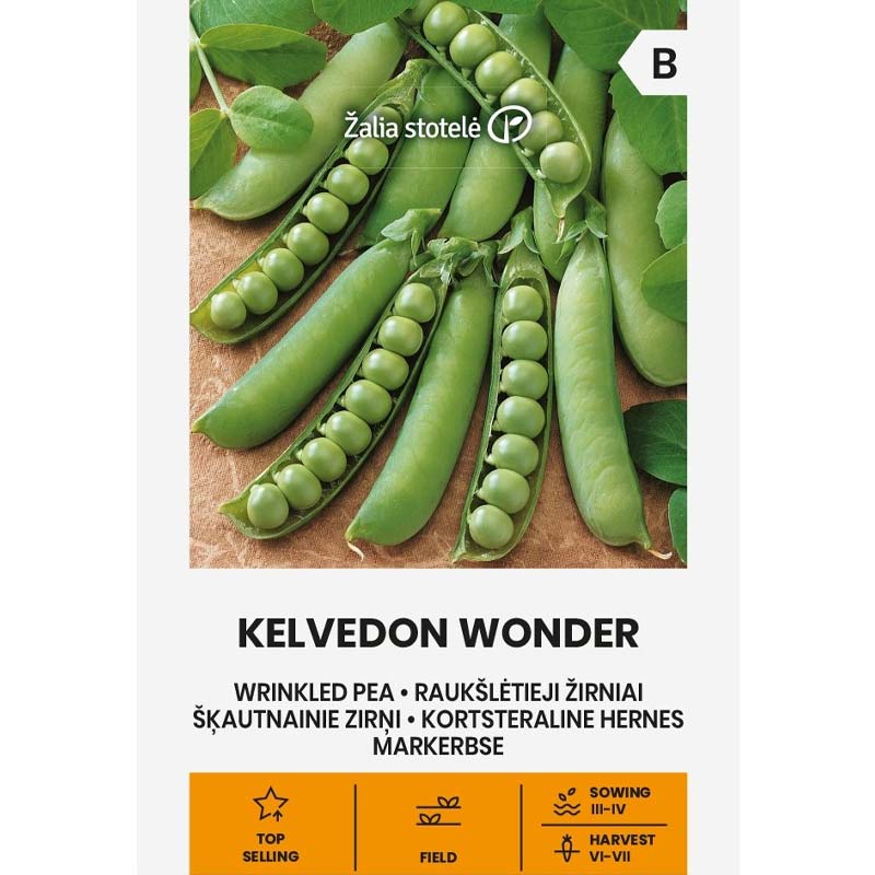 Pea 'Kevedon Wonder'