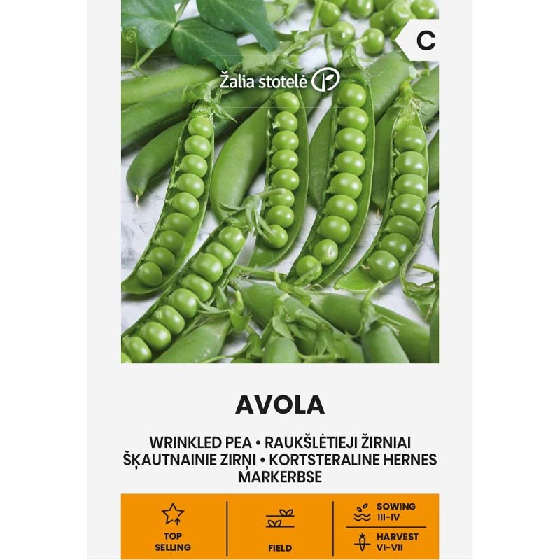 Pea 'Avola'