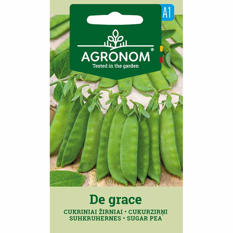 Sugar Pea 'De Grace'