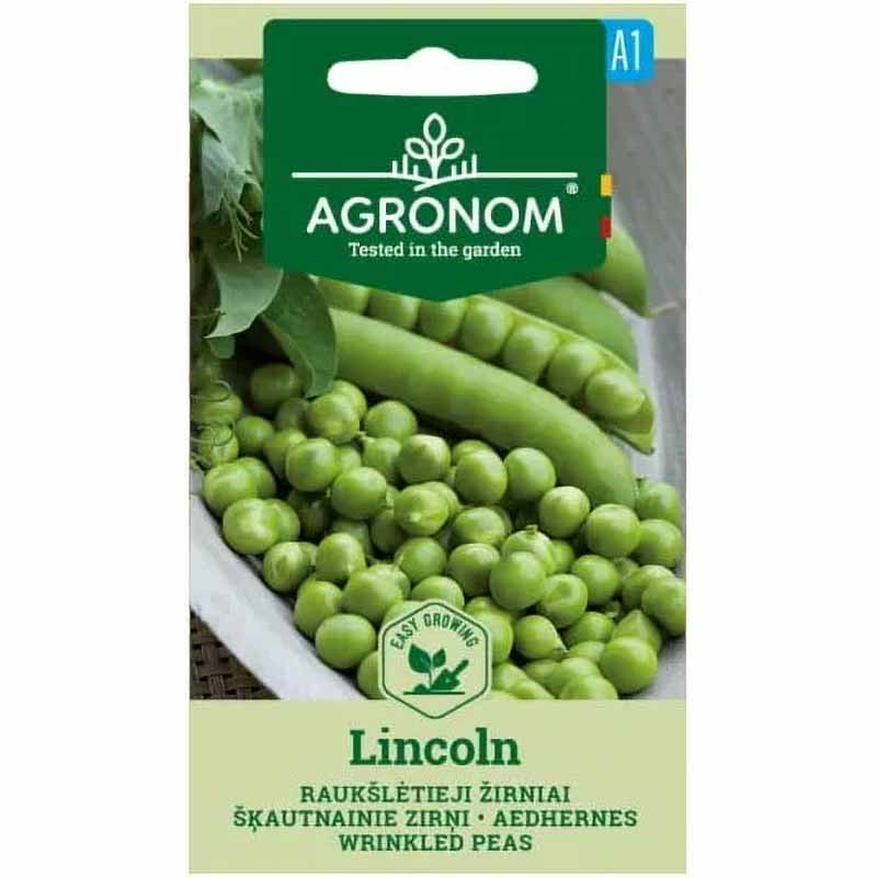 Pea 'Lincoln'