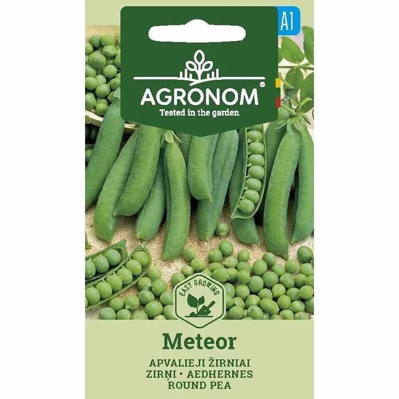 Shelling Pea 'Meteor'