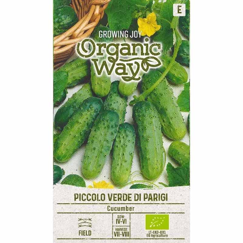 Cucumber 'Piccolo verde di parigi'