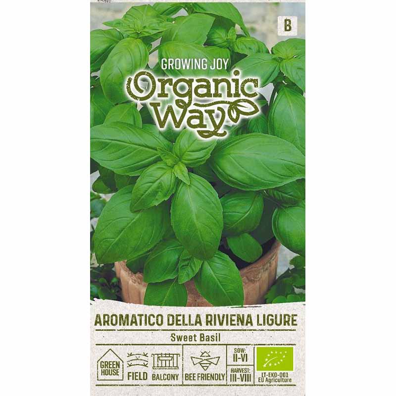 Basil 'Aromatico della riviena'