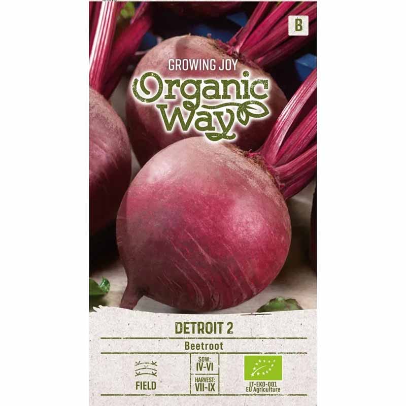 Beetroot 'Detroit 2'