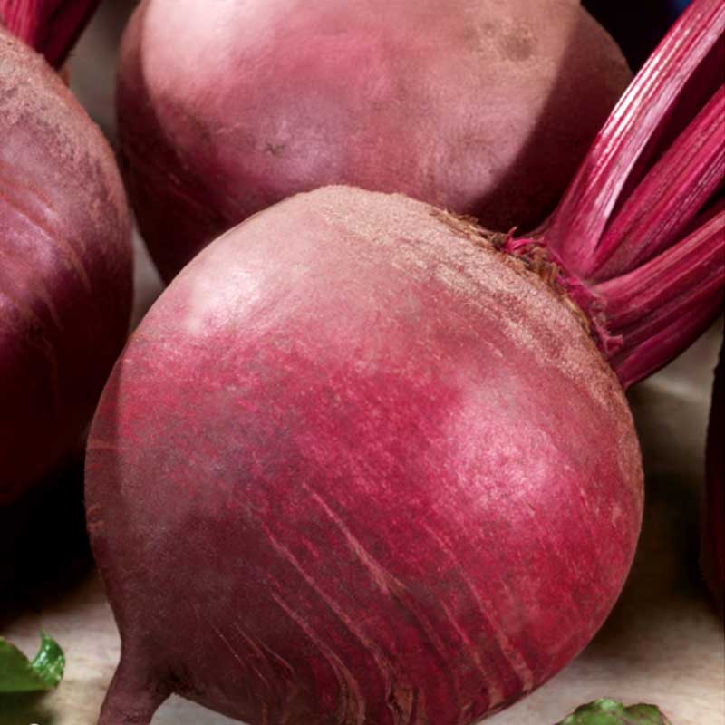 Beetroot 'Detroit 2'