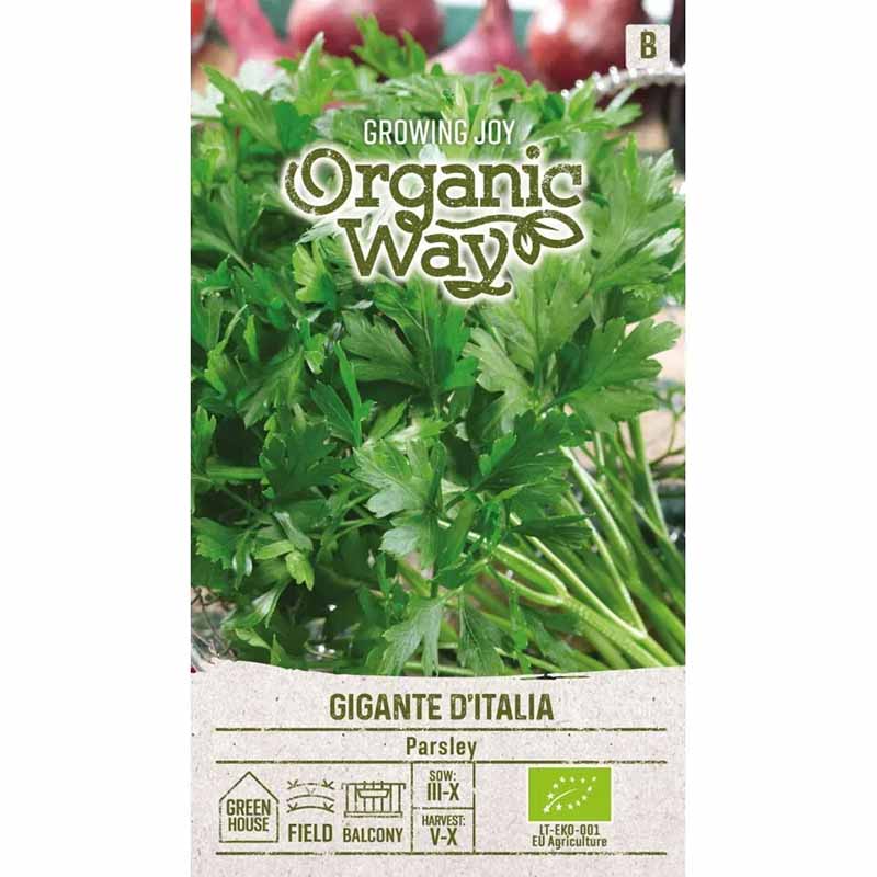 Parsley 'Gigante d'Italia'
