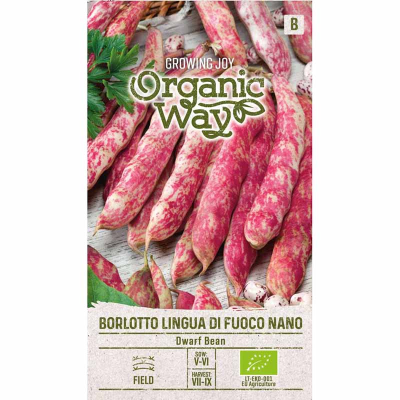 Borlotti Bean 'Borlotto lingua di fouco nano'