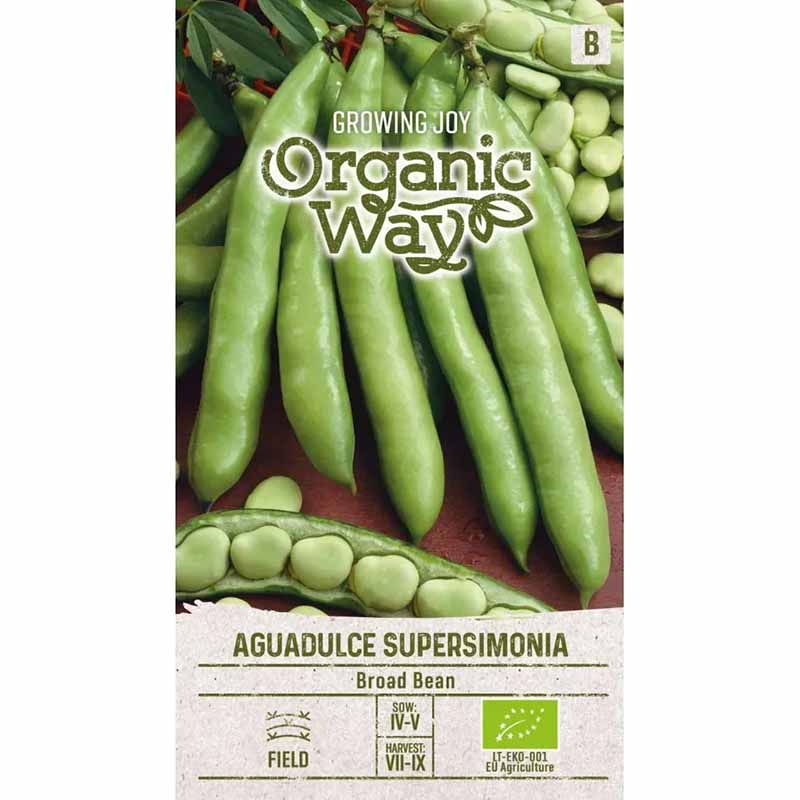 Broad Bean 'Aguadulce superismonia'