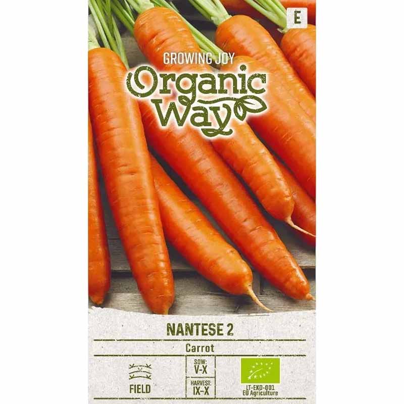 Carrot 'Nantese 2'