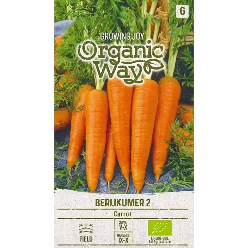Carrot 'Berlikumer 2'