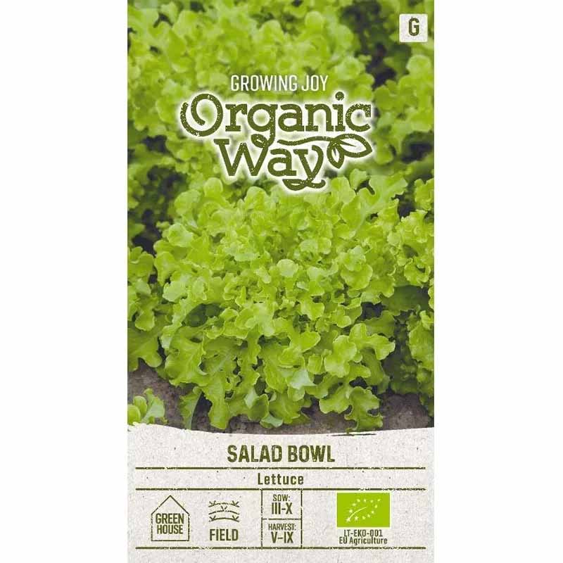 Lettuce 'Salad Bowl'