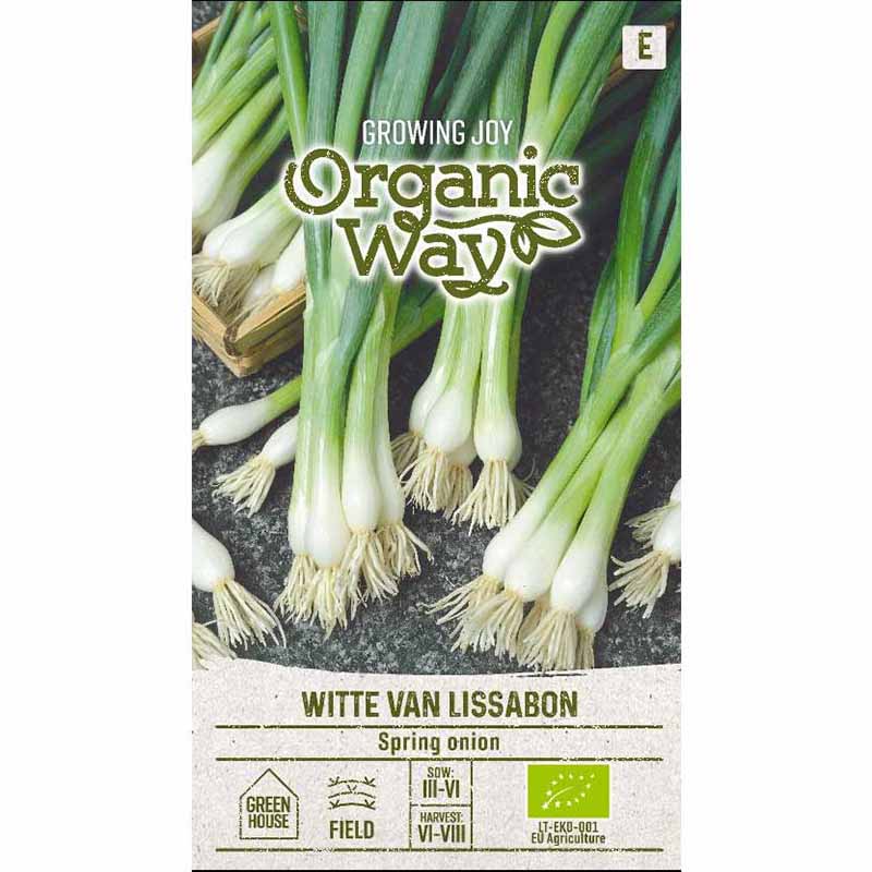 Spring Onion 'Witte van Lissabon'