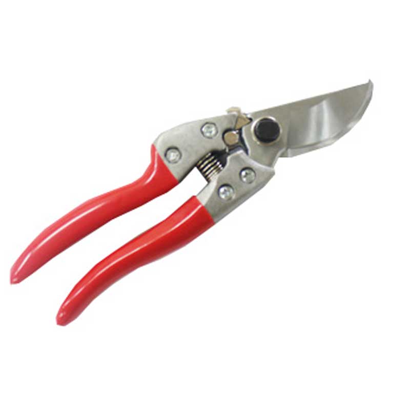Pruner