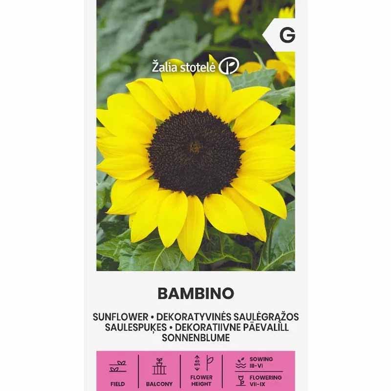 Sunflower 'Bambino'