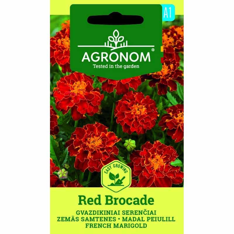 Marigold 'Red brocate'