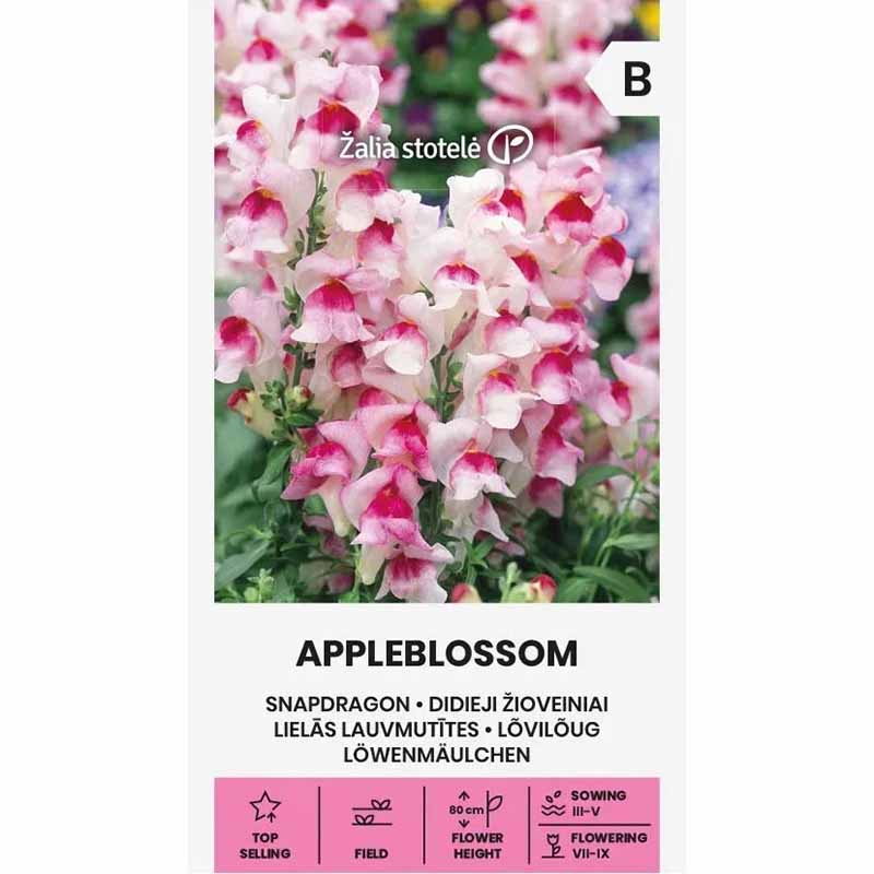 Snapdragon 'Appleblossom'