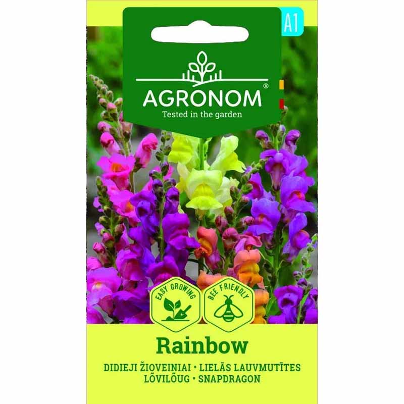 Snapdragon 'Rainbow'